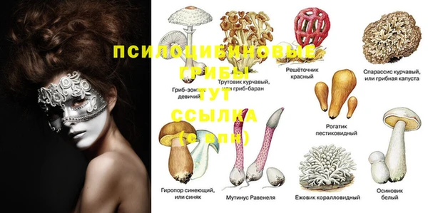 дурь Лихославль