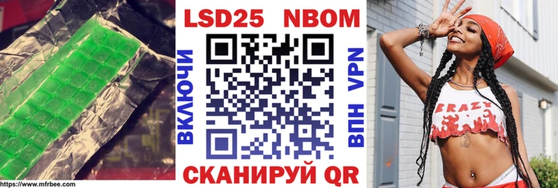 продажа наркотиков  Шилка  площадка какой сайт  Лсд 25 экстази кислота 