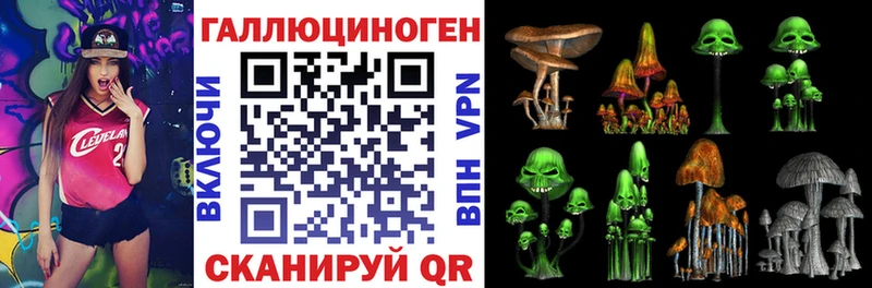 Псилоцибиновые грибы Magic Shrooms  Шилка 