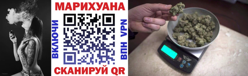 Конопля план  Шилка 
